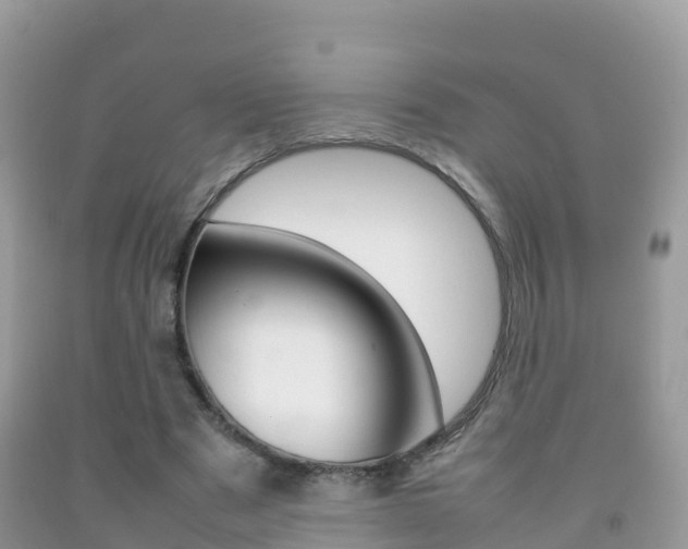 X0000092220489200709140925