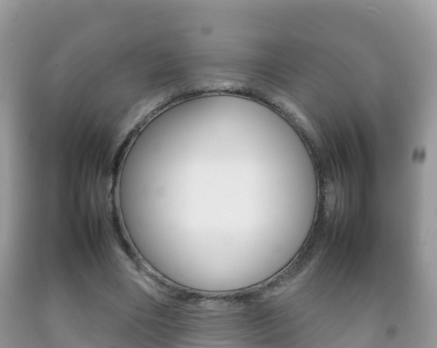 X0000092220490200709140925