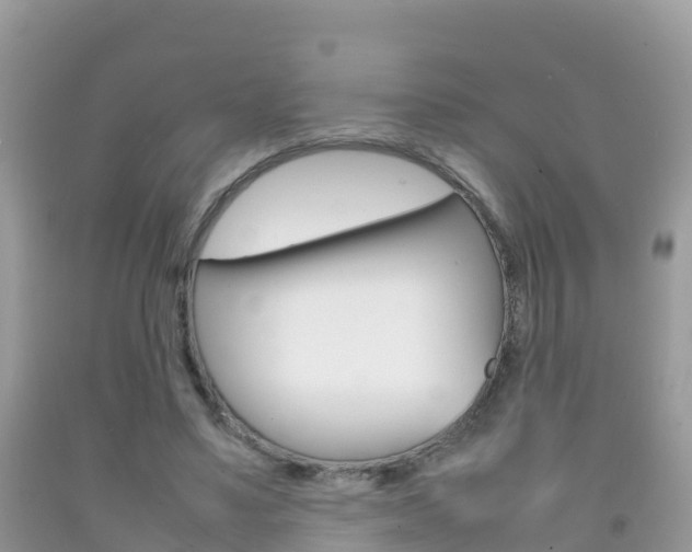 X0000092220491200709140925
