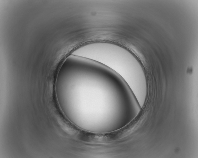 X0000092220493200709140925