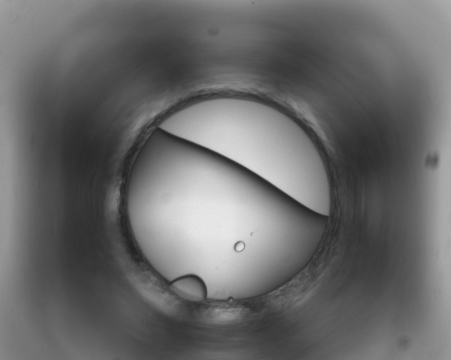 X0000092220495200709140925