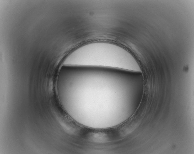 X0000092220500200709140924
