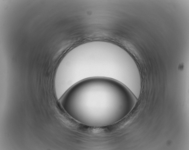 X0000092220501200709140924
