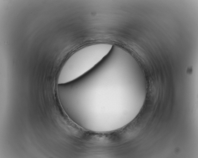 X0000092220502200709140924