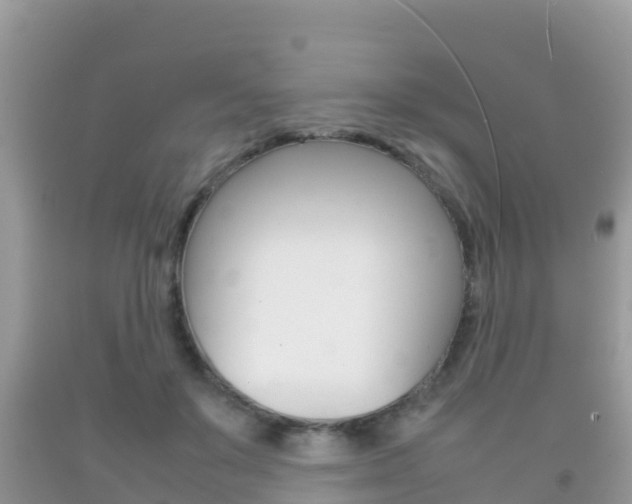 X0000092220503200709140924