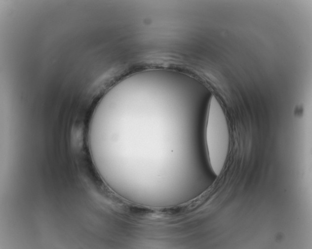 X0000092220504200709140924