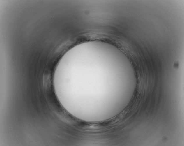 X0000092220506200709140924