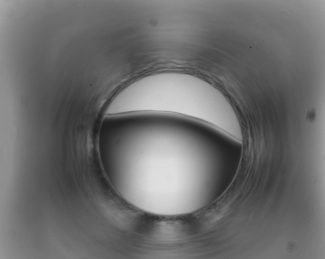 X0000092220508200709140924