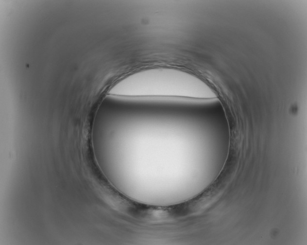X0000092220509200709140924
