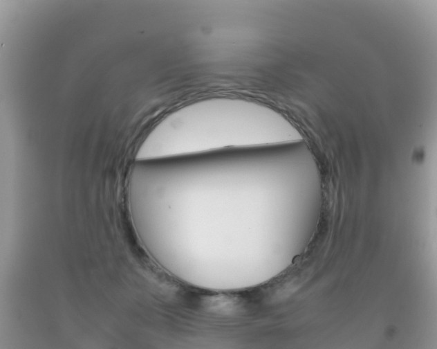 X0000092220511200709140924