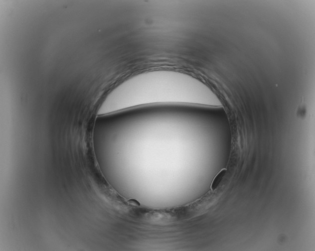 X0000092220512200709140924