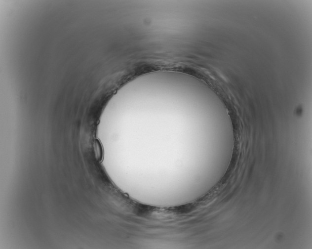 X0000092220515200709140924