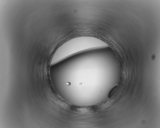 X0000092220516200709140924
