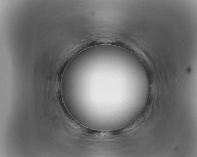 X0000092220517200709140924