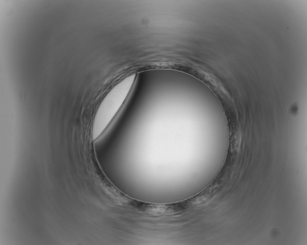X0000092220521200709140924
