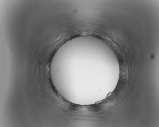X0000092220523200709140924