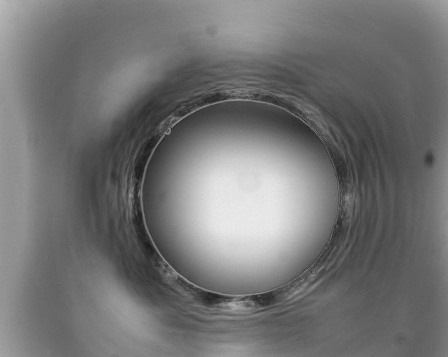 X0000092220525200709140924