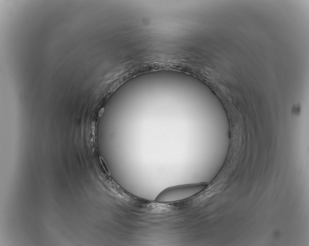 X0000092220528200709140924