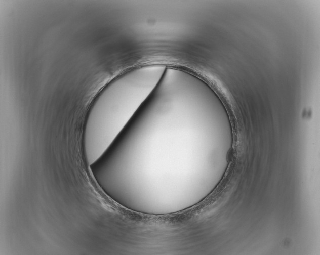 X0000092220529200709140923