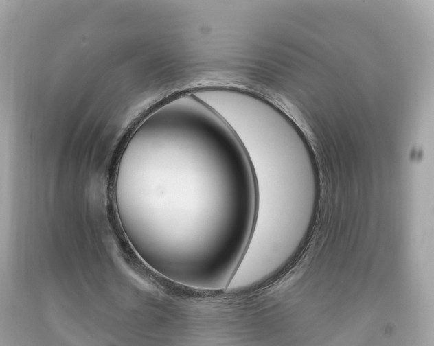 X0000092220530200709140923