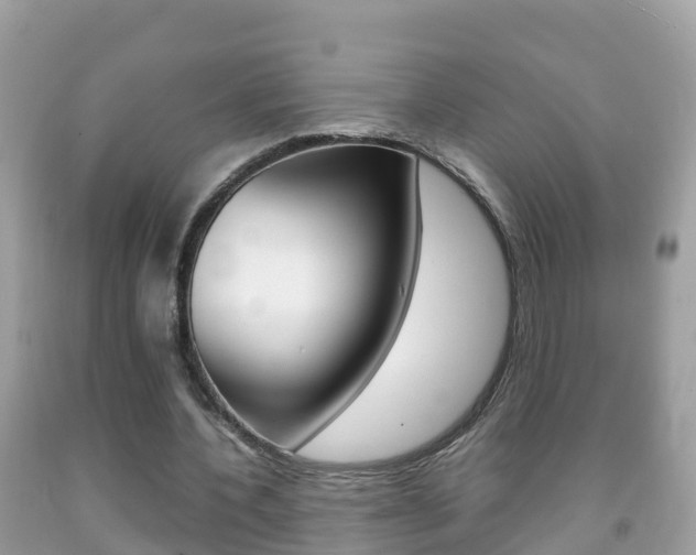 X0000092220532200709140923