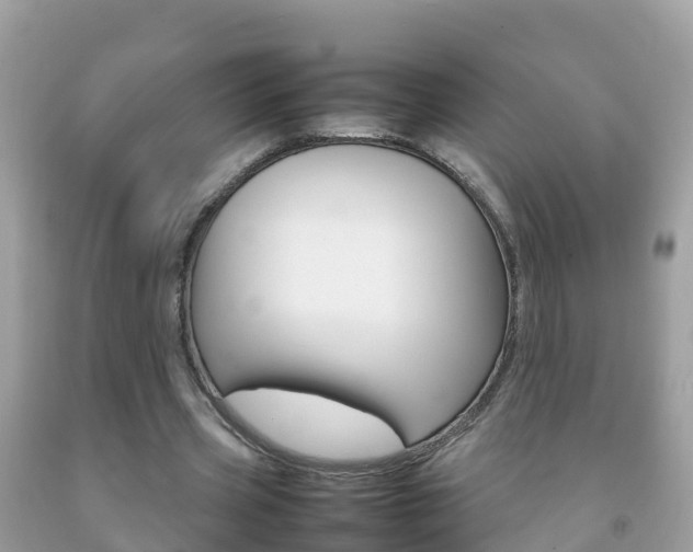 X0000092220533200709140923