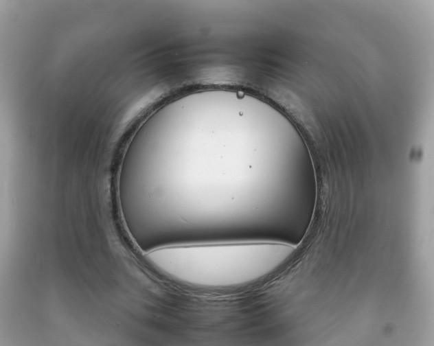 X0000092220535200709140923