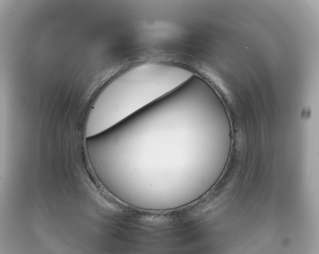 X0000092220537200709140923