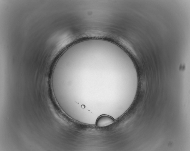 X0000092220538200709140923