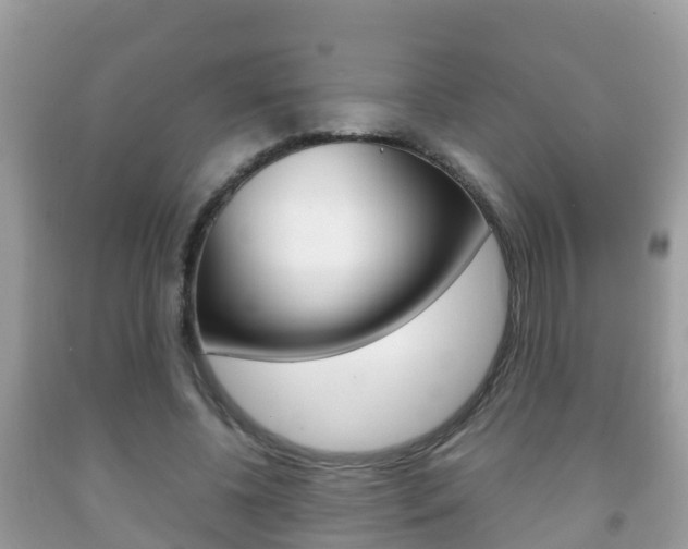 X0000092220540200709140923