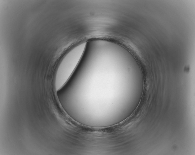 X0000092220542200709140923