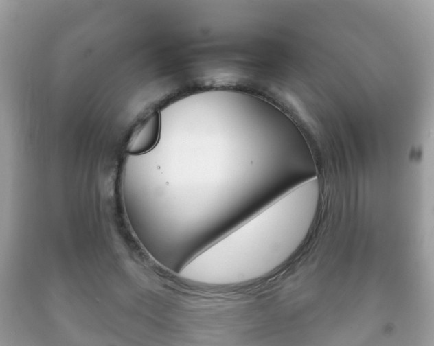 X0000092220543200709140923