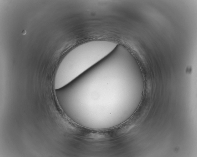X0000092220545200709140924