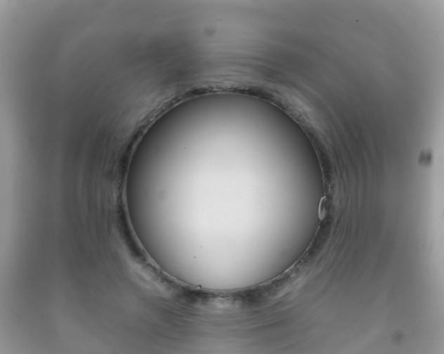 X0000092220546200709140924