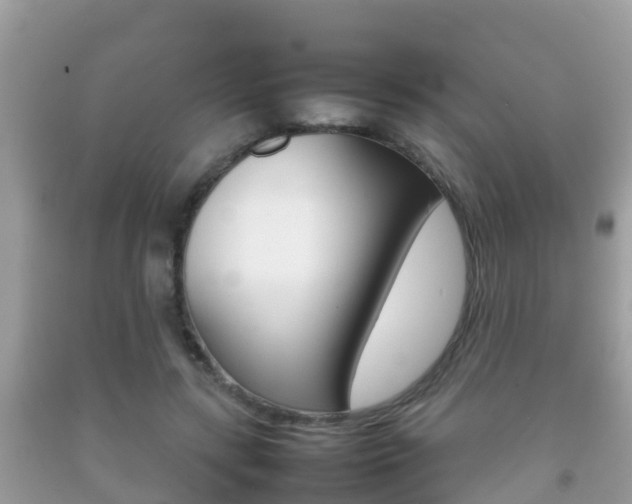 X0000092220547200709140924