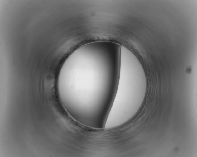 X0000092220548200709140924
