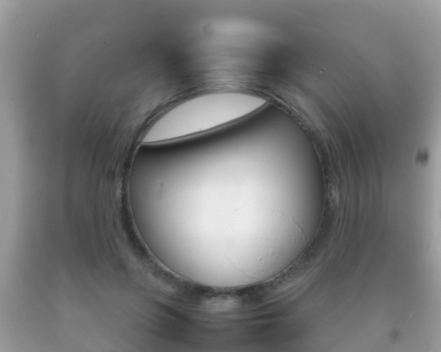 X0000092220551200709140924