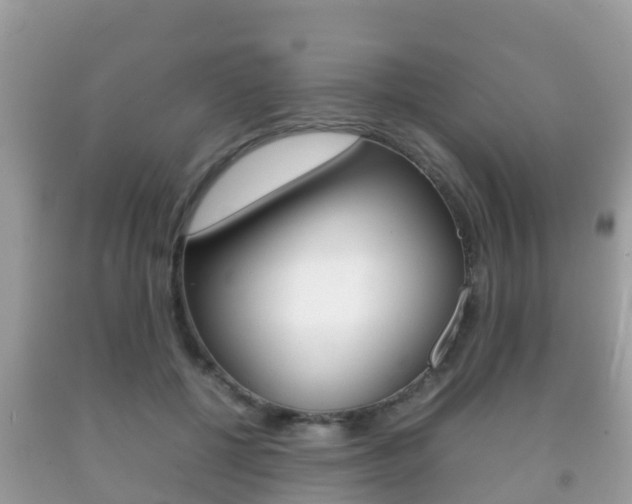 X0000092220552200709140924