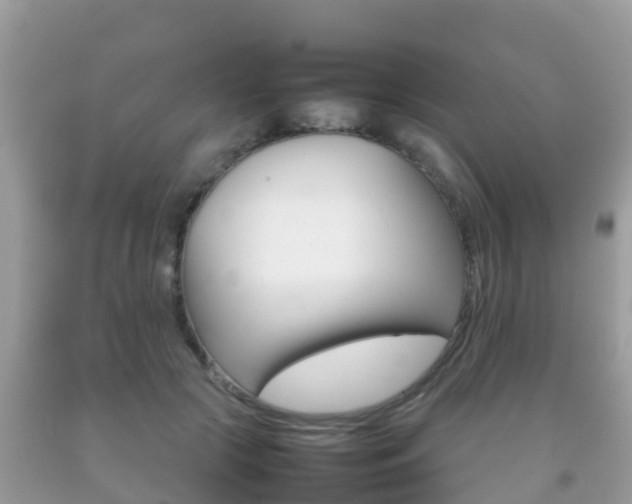 X0000092220553200709140924