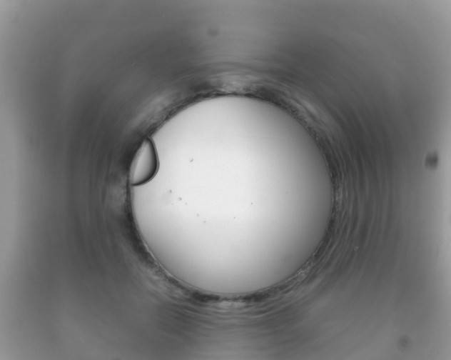 X0000092220554200709140924