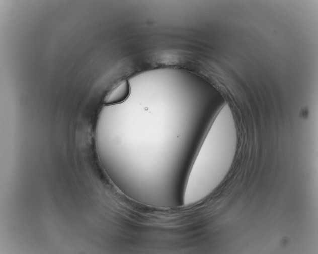 X0000092220555200709140924