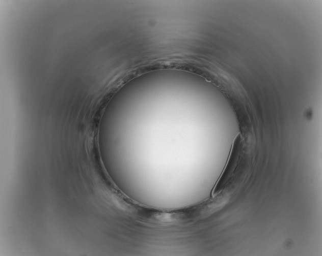 X0000092220558200709140924