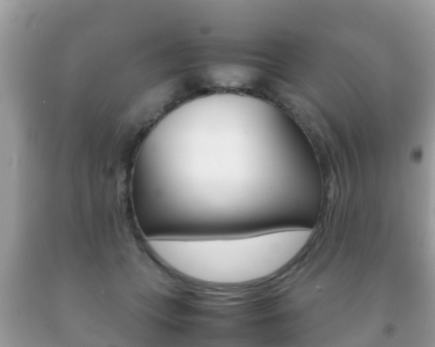 X0000092220559200709140924