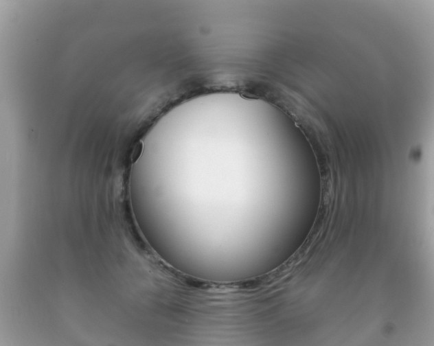 X0000092220560200709140924
