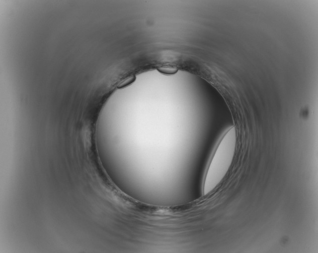 X0000092220562200709140924