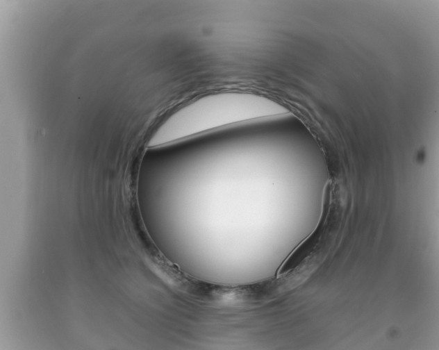 X0000092220564200709140924