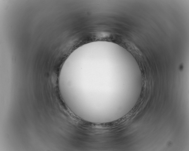 X0000092220565200709140924