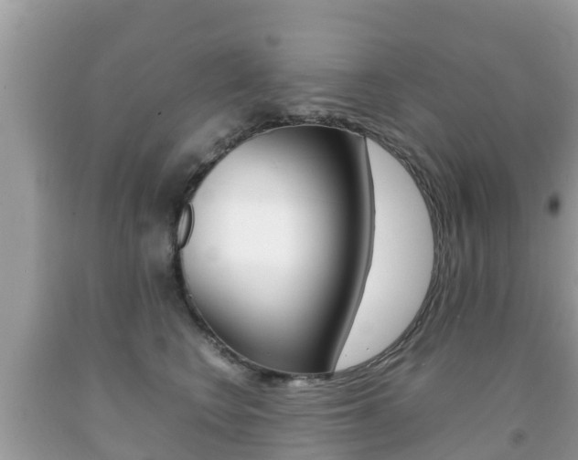 X0000092220566200709140924