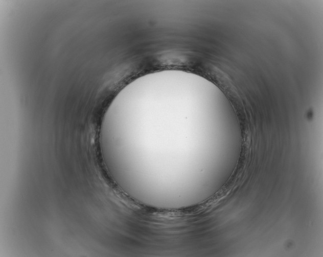 X0000092220567200709140924
