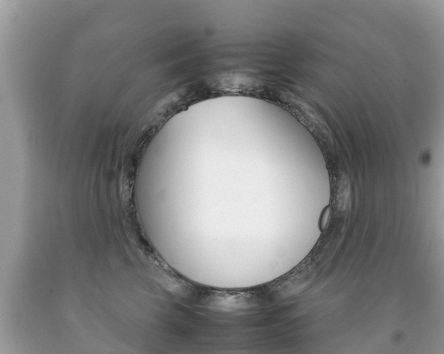 X0000092220569200709140924
